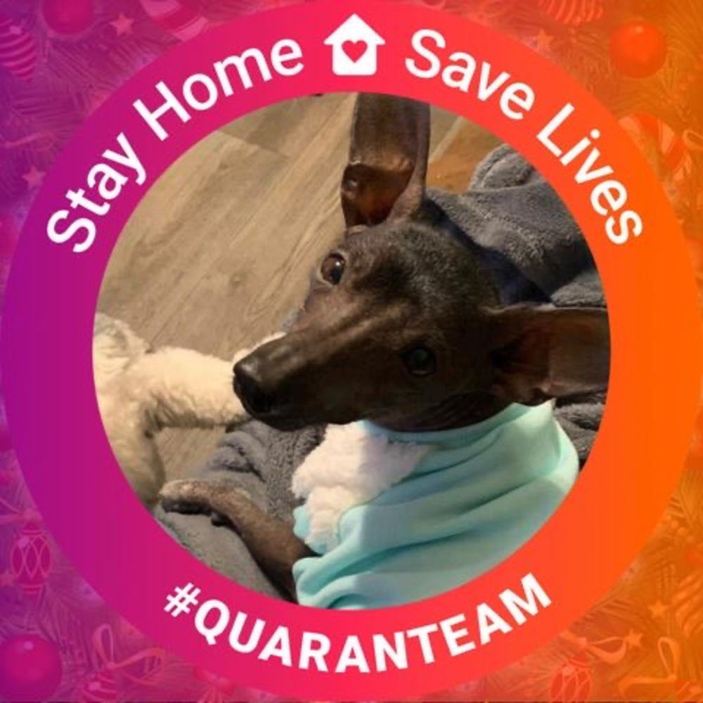 Meet your Posher, Brad.